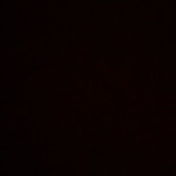 Meet your Posher, Tyler - Picture 1 of 1